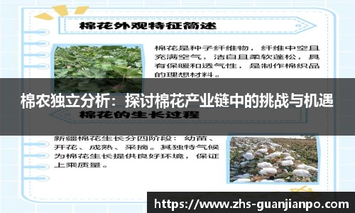 棉农独立分析：探讨棉花产业链中的挑战与机遇