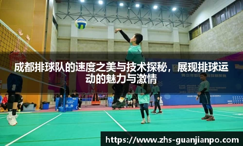 成都排球队的速度之美与技术探秘,展现排球运动的魅力与激情